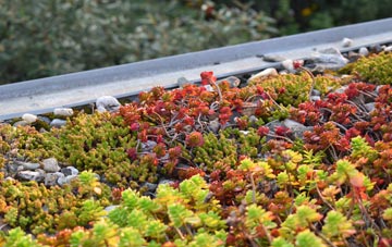 the cost of Cross Llyde green roof installation